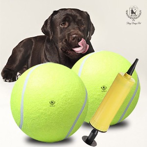 반려동물 대형 테니스볼 장난감
