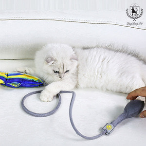 딩동펫 고양이 장난감 캣닢 공기 펌프 장난감